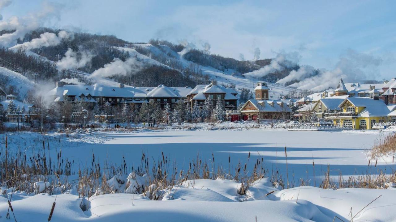 Stunning Townhouse - 3 Bdrm Blue Mountain Village Sauna! Blue Mountains Kültér fotó